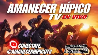 👀💥ÚLTIMA HORA👀💥 AMANECER HÍPICO Larinconada Domingo 5y6 Hipismo [upl. by Sotnas]