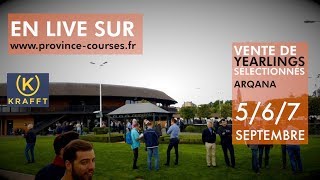 VENTE ARQANA 2018 en DIRECT [upl. by Borden]