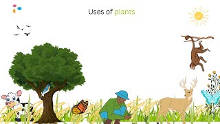 Uses of plants use of plants uses of plants for kids plants and their uses plant give us [upl. by Alboran]