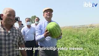 PAZARDA GÖRÜP ŞAŞIRMIŞTI ŞİMDİ İBB’NİN DESTEĞİYLE YETİŞTİRİYOR [upl. by Schuler]