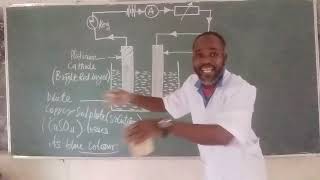 Electrolysis Ionic Dynamics [upl. by Ecaidnac]