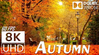 AUTUMN  12K Scenic Relaxation Film With Inspiring Cinematic Music  4K 60fps Video Ultra HD [upl. by Atikram679]