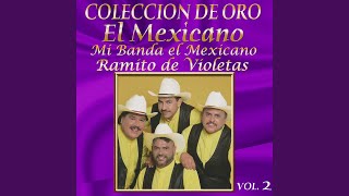 Mi Banda El Mexicano  Ramito De Violetas quotEPICENTERquot [upl. by Eirdua]