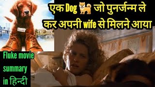 Fluke movie Explained in Hindi  dog movie  Ending explained  story [upl. by Megargee]