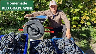 How to Make Wine from Grapes at Home [upl. by Occor]