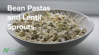 Bean Pastas and Lentil Sprouts [upl. by Oakleil421]