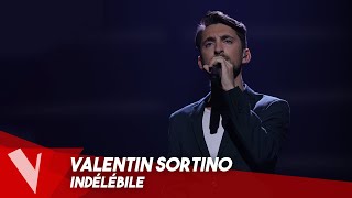 Yseult – Indélébile ● Valentin Sortino  Live  The Voice Belgique [upl. by Lunnete903]