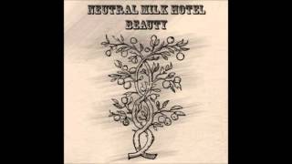 Neutral Milk Hotel  Beauty Full Album [upl. by Aisatna]