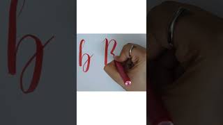 Mastering the letter B with a Brush Pen Calligraphy calligraphyalphabet brushpencalligraphy [upl. by Lesde]