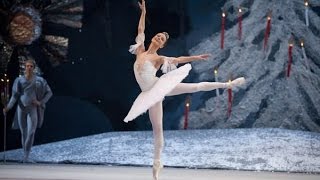 Nutcracker  Nina Kaptsova as the Sugar Plum Fairy  Bolshoi Ballet 2010 DVDBluray highlight [upl. by Ahsa83]