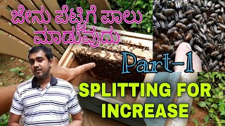 Splitting for increase part  1  ಜೇನು ಕುಟುಂಬ ಪಾಲು ಮಾಡುವುದು ಭಾಗ  1 [upl. by Swor309]