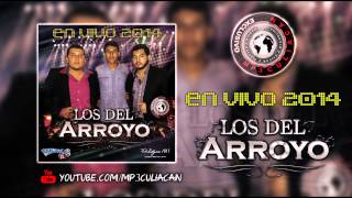 Los Del Arroyo  Kikil Car0 En Vivo 2014 [upl. by Esetal]