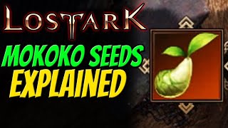 MOKOKO SEEDS EXPLAINED in Lost Ark  All Rewards amp Why to collect [upl. by Dygall]