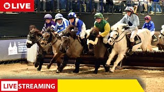 LIVE Royal Windsor Horse Show Shetland Pony Grand National  Gran Nacional de Ponis Shetland [upl. by Marylinda]