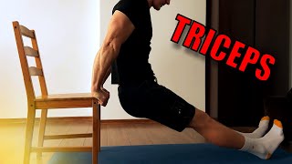 3 Exercises for TRICEPS  No Equipment [upl. by Gregg]