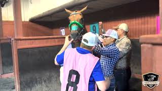 2024 LQHBA Lassie FuturityRG2 Recap StallioneSearchcom [upl. by Yuria]