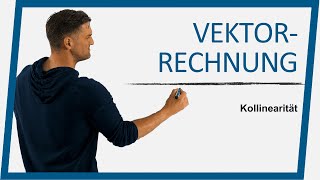 Vergleich von Vektoren  Mathe by Daniel Jung [upl. by Nowaj]