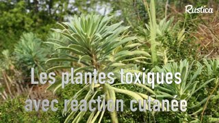 Les plantes toxiques avec réactions cutanées [upl. by Deckert940]