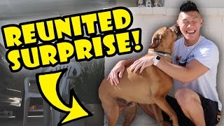 DOG REUNITED SURPRISE AFTER 1 YR APART  Life After College Ep 545 [upl. by Parshall]