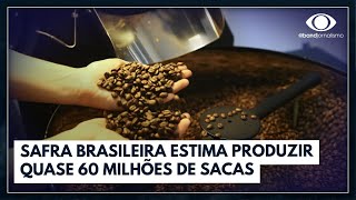 Produção de café crescerá 6 no Brasil em 2024  Jornal da Band [upl. by Pinzler]