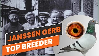 All 4 Grandparents Are Original  Janssen Gebr  Racing Pigeons For Sale In Herbots Pigeons Auction [upl. by Uke128]