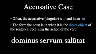 The Nominative and Accusative Cases [upl. by Enialedam]