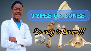 TYPES OF BONES  Vet School  Vet Study ¦ veterinary Anatomy [upl. by Rekab]