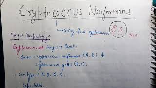 Cryptococcus neoformans Microbiology [upl. by Nairrad495]