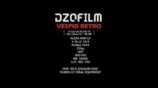 DZOFILM Vespid Retro Lens Test [upl. by Jahdol]