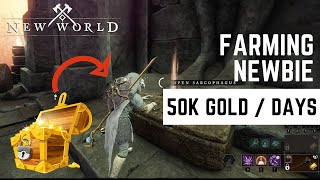 🔴Live  Farming Gold New World Indonesia bamzode [upl. by Htiaf]