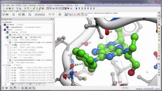 MolSoft  Fully Interactive 3D Ligand Editor v38 [upl. by Raddie100]