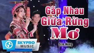 Gặp Nhau Giữa Rừng Mơ st Bảo Chung  Sim Nông  Cô Gái Dân Tộc Hát Dân Ca Thật Hay [upl. by Dub620]