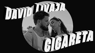 DAVID LIVAJA  CIGARETA OFFICIAL VIDEO [upl. by Lahcear]