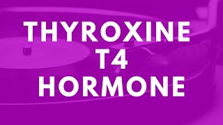 thyroxine thyroxine hormone thyroxine t4 levothyroxine thyroxine medication thyroxine function [upl. by Osric959]