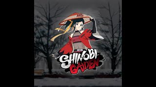 Shinobi Gaiden  Guía completa instalación primeros pasos y sistemas cruaciales [upl. by Sundin386]