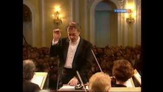 Shostakovich  Symphony No 11 in G minor Op 103  Gergiev [upl. by Dalury]