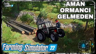 ORMANCI GELMEDEN KESTİĞİMİZ AĞAÇLARI ALMAMIZ LAZIM AMA NASIL   FARMING SIMULATOR 22 ORMAN İŞLERİ [upl. by Atiekram582]