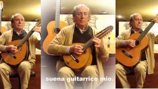 El Guitarrico Jota de Perico [upl. by Namor]