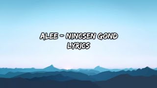 ALEE  Nincsen gond Lyrics [upl. by Haslam]