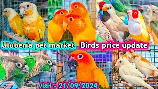 Uluberia pet market  Birds pirce updated 21092024 Uluberia pakhir haat cheapest sale viral [upl. by Eesdnyl]