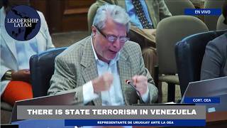 Uruguayan ambassador shocks OAS for passivity against Maduro [upl. by Torin995]