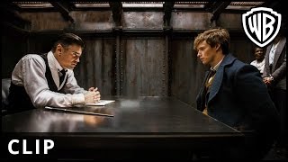 Fantastic Beasts and Where to Find Them – Setting Dangerous Creatures Loose – Warner Bros UK [upl. by Labotsirhc]