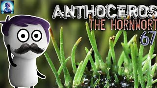 SECRETS OF ANTHOCEROS  ANTHOCEROS IN HINDI  ANTHOCEROS REPRODUCTION  BRYOPHYTA IN HINDI [upl. by Utter]