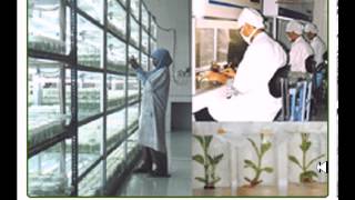 Advantages and disadvantages of tissue culture [upl. by Laney]