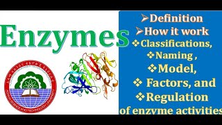 Enzymes Full part Definition Classification Factors and Regulation of Enzyme Activity [upl. by Clemmy]