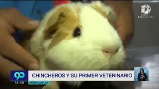 Chincheros y su primer veterinario [upl. by Gianna]