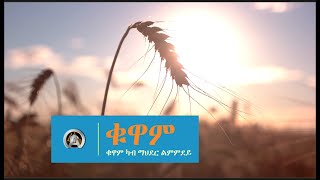 ቁዋምQuwamAbrar Osman ኣብራር ዑስማን [upl. by Hueston818]