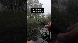 How to Dropshot  Perch Fishing perchfishing lurefishing perchfishinguk fishing [upl. by White299]