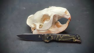 Kizer Begleiter 2 Review [upl. by Miko]