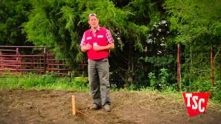 How to Plant Vegetable Garden Seeds  Tractor Supply Co [upl. by Kolivas]